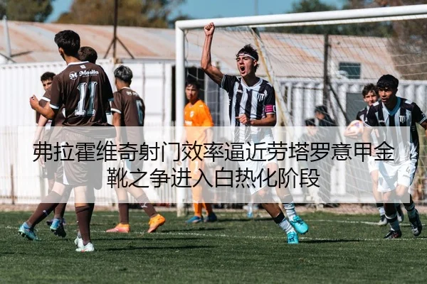 弗拉霍维奇射门效率逼近劳塔罗意甲金靴之争进入白热化阶段